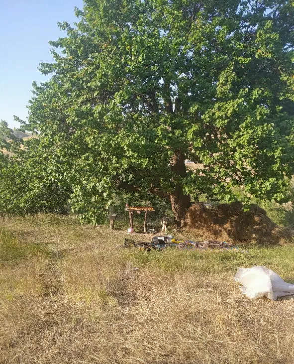 باغ دنج و نزدیک شهر