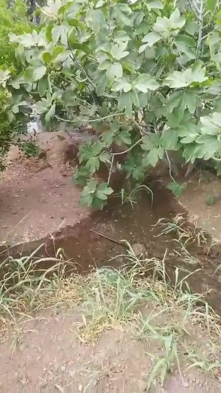 باغ بسیار باصفا در روستای اندیس( آوه )