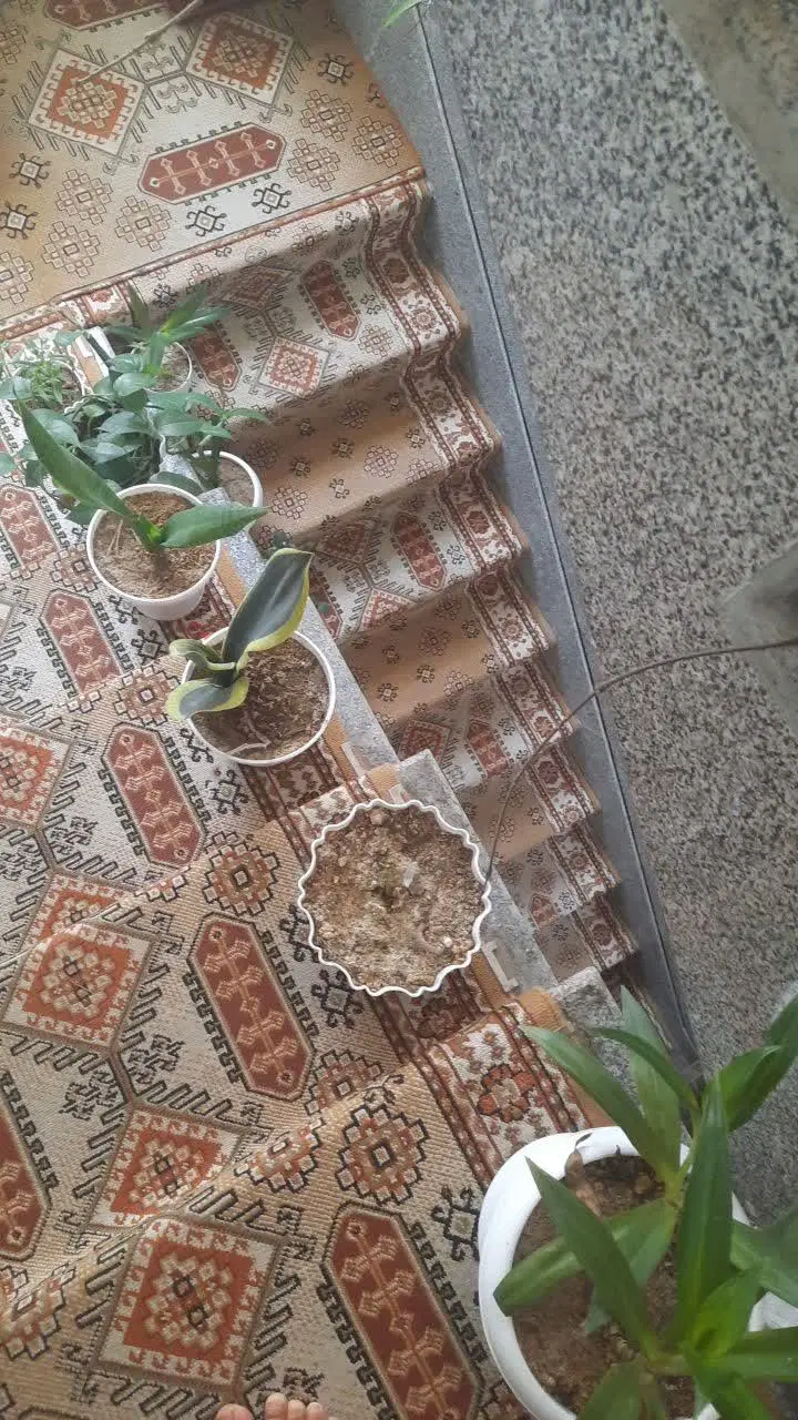 فروش منزل