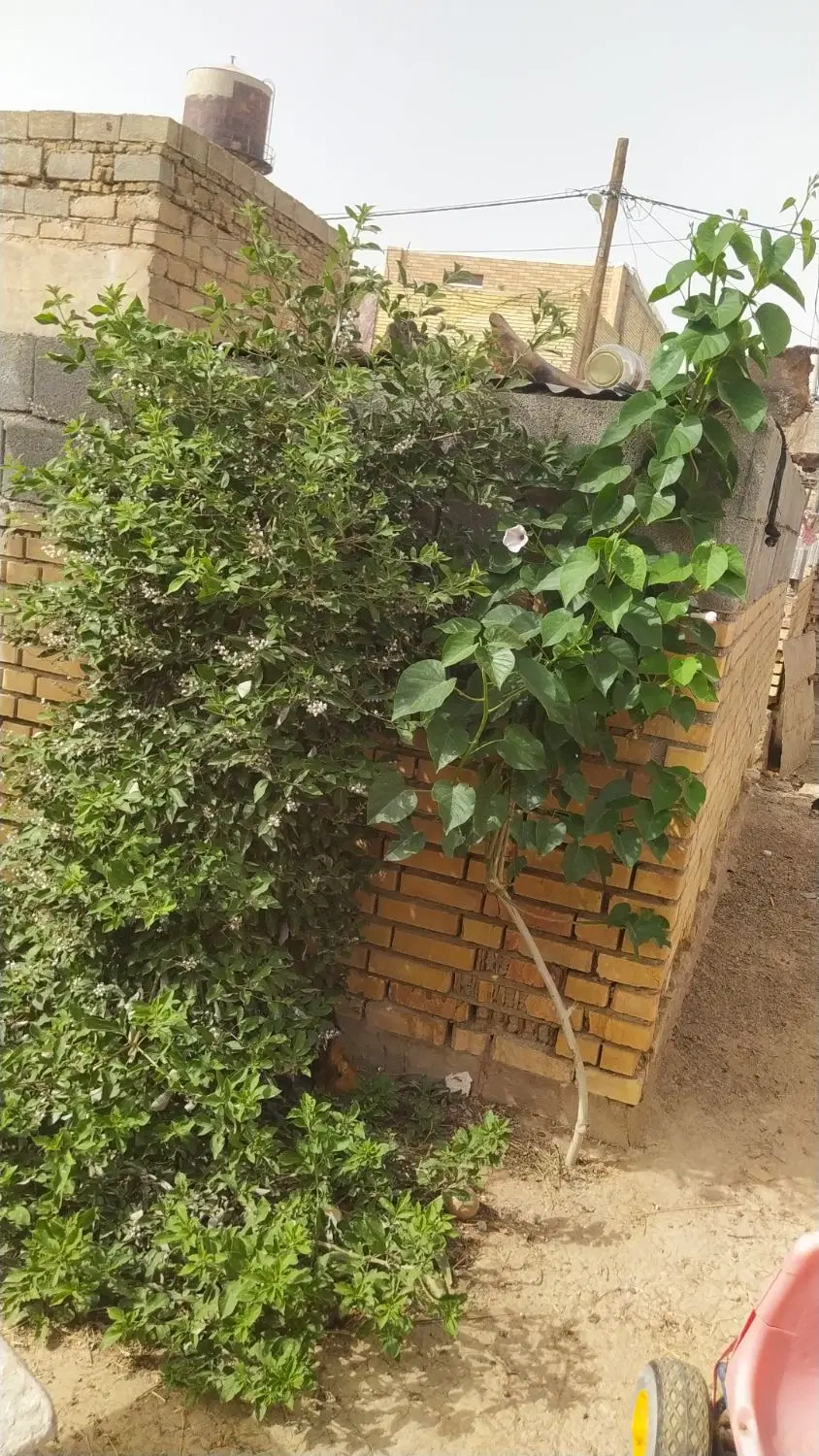 منزل مسکونی ویلایی