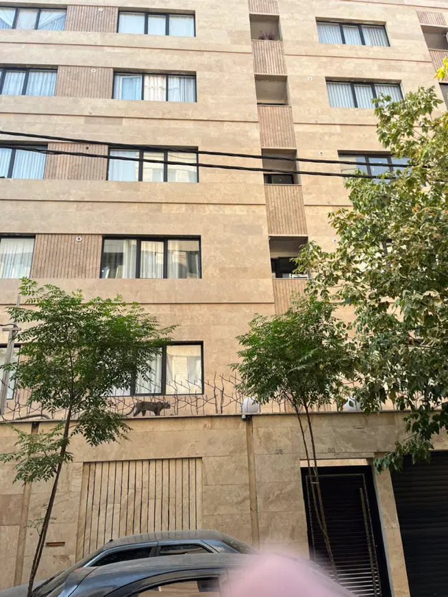 فروش آپارتمان ۵۸ متری ۱ خواب