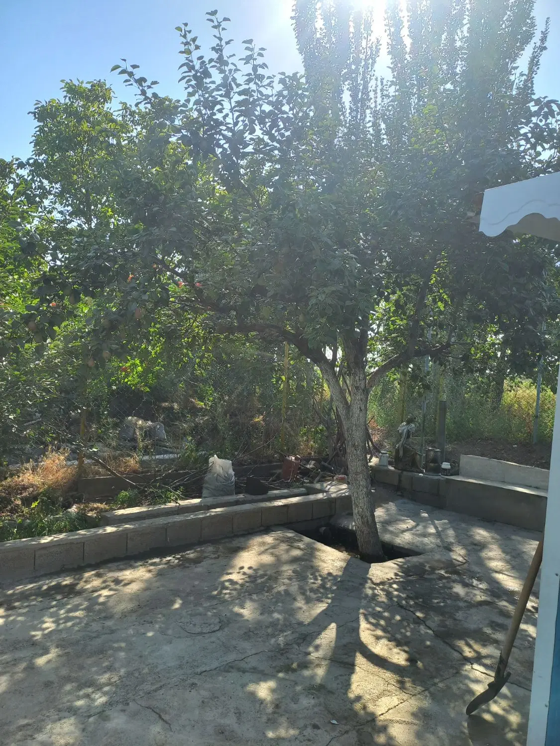 باغ نقلی ۵۰۰ متر در مرند