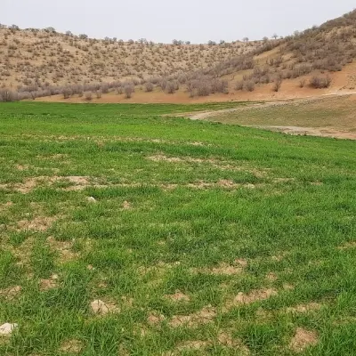 فروش زمین پمپ بنزین الوندی  به مساحت ۱۰۶