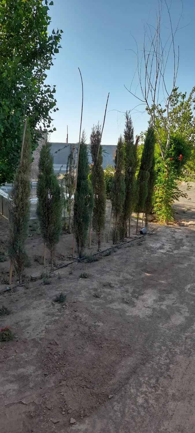 خونه باغ فروشی