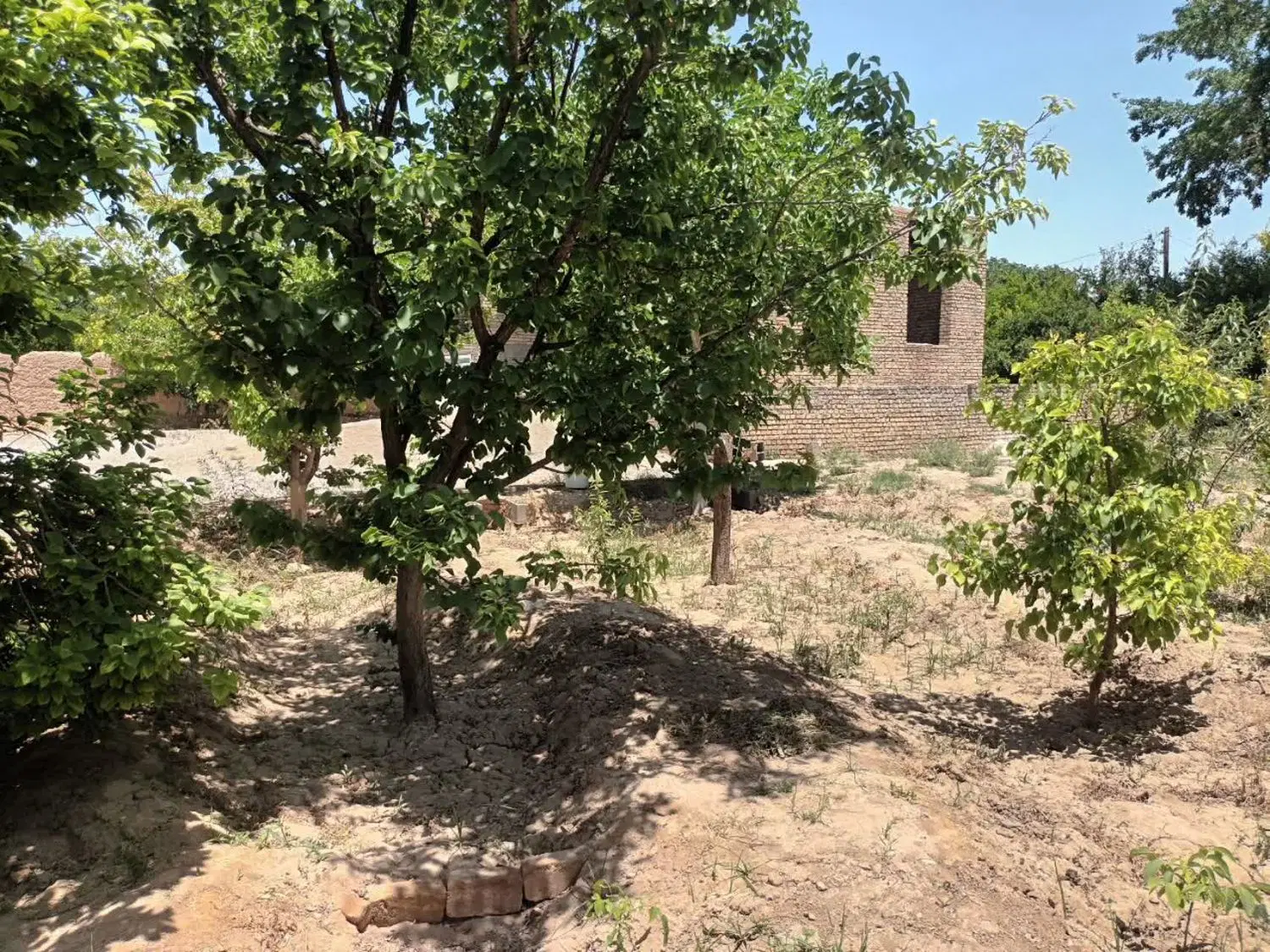 خانه باغ بغدادآباد مهریز