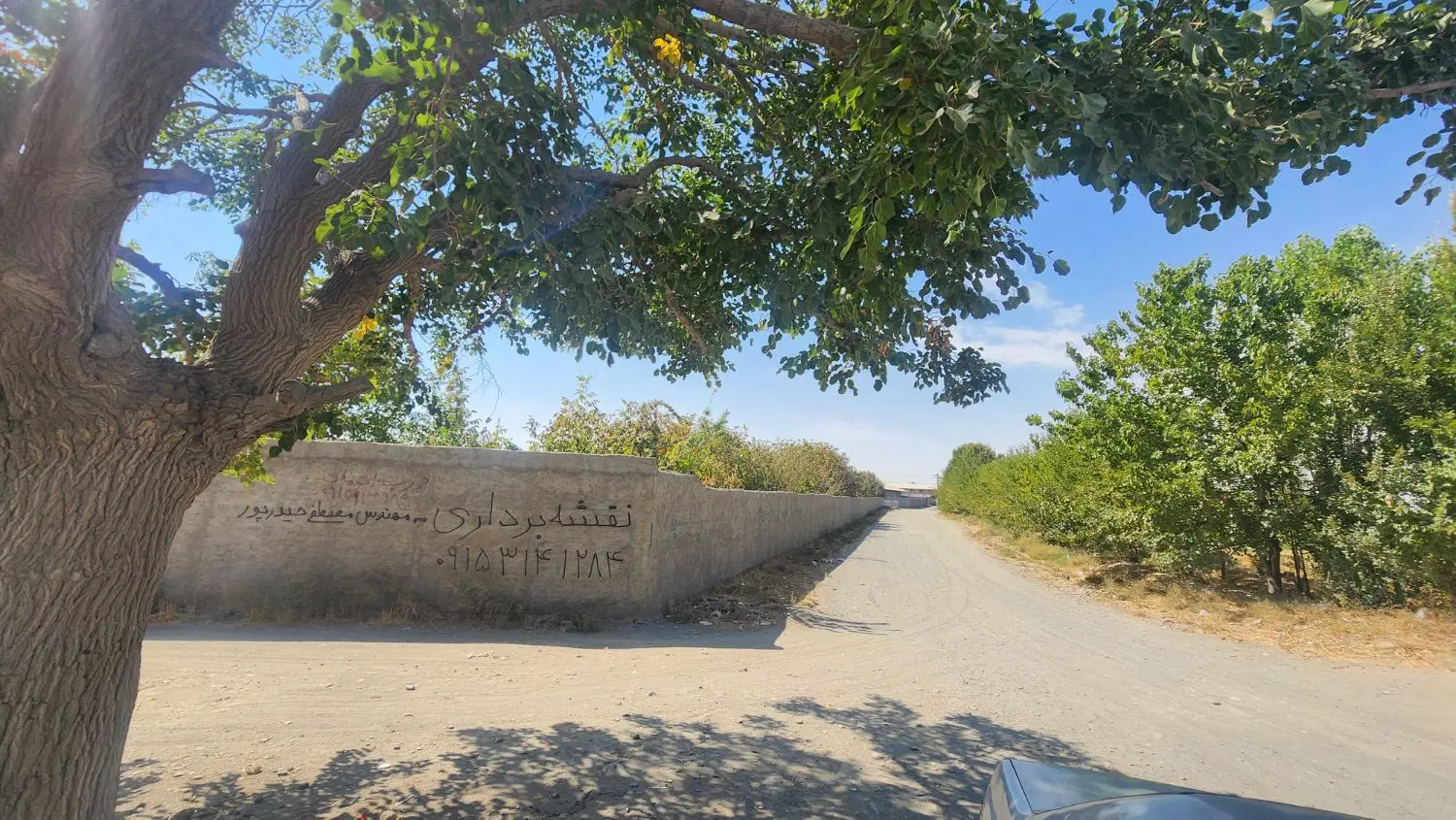 فروش ۶۰۰ متر زمین مناسب باغ و ویلا ، بوار توس
