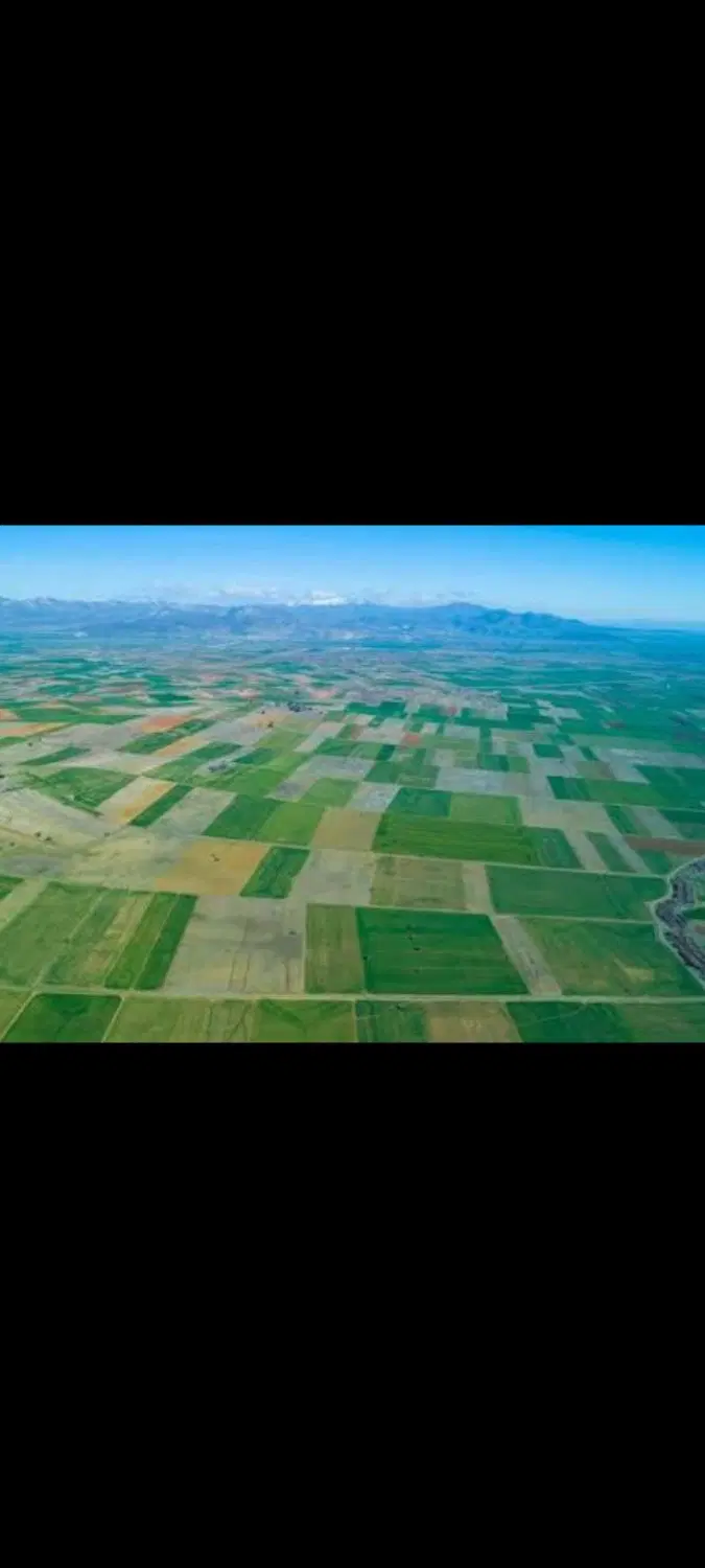 زمین باغی
