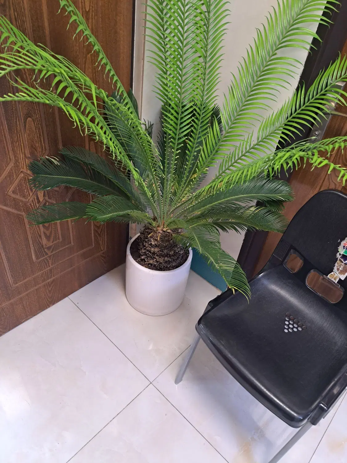 سلام آپارتمان اجاره ای