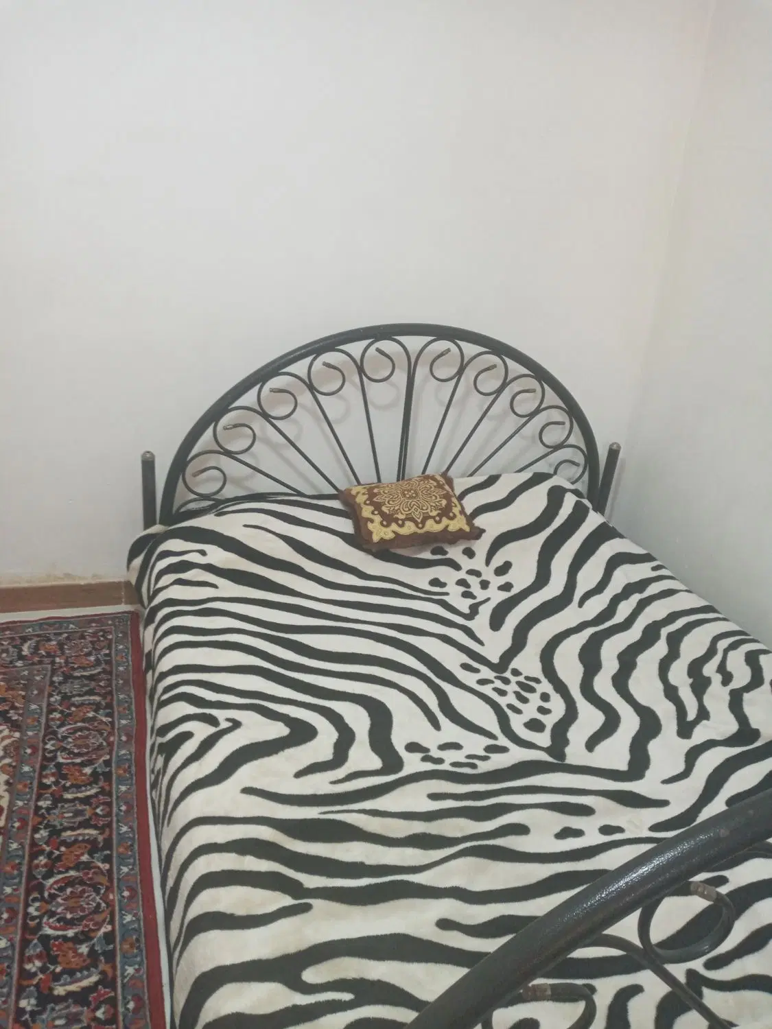 اجاره روزانه وهفتگی