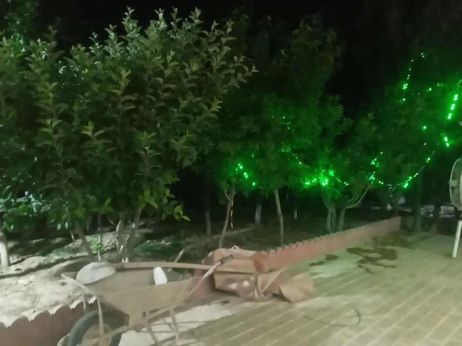 چهاردیواری۳۰۰متر با درخت ۱۰ ساله بارده آب برق گاز
