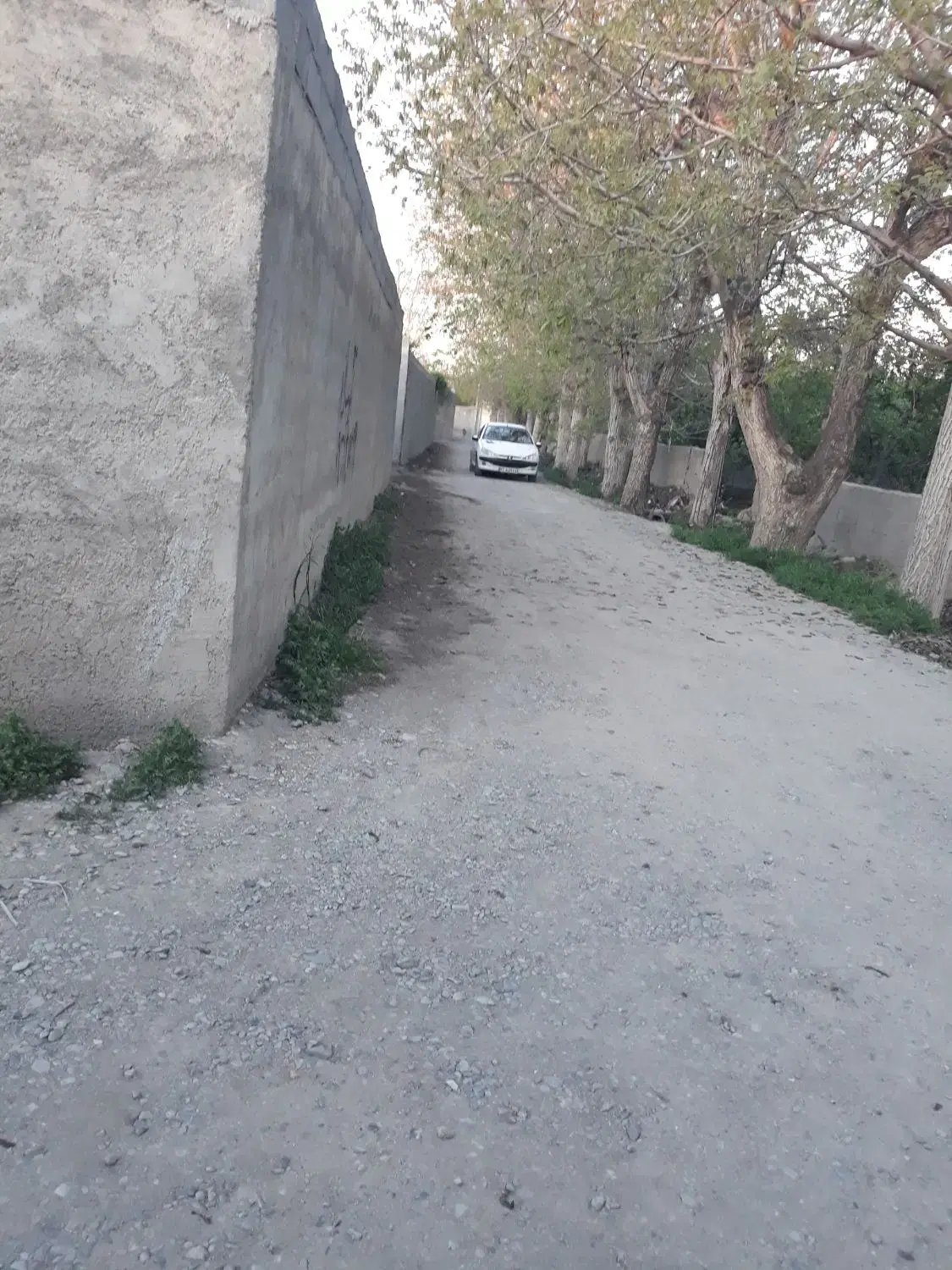 ۲۰۰ متر باغچه با نامه جهاد در بکه