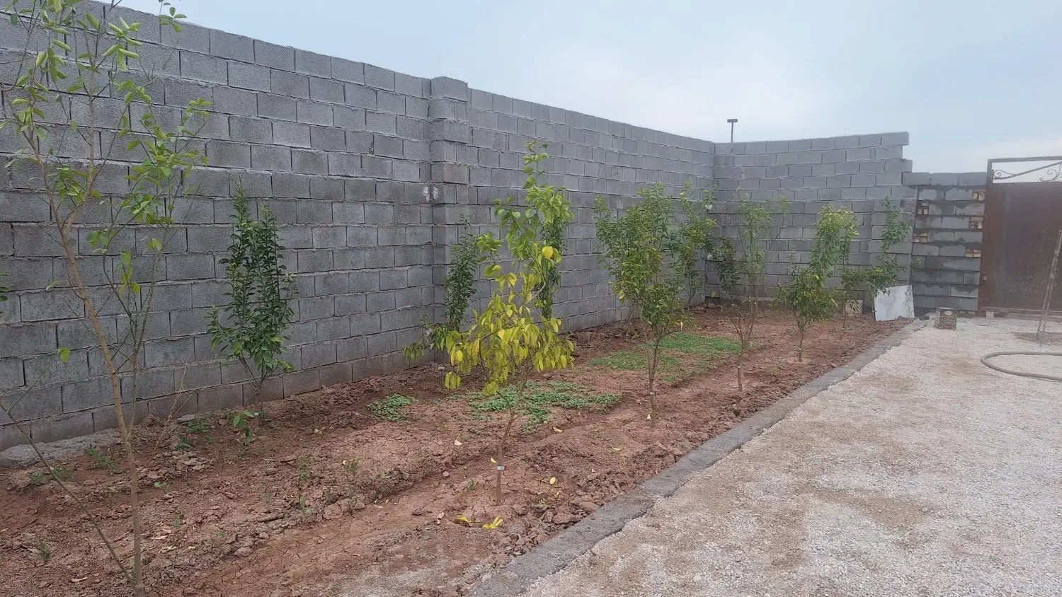باغچه۵۰۰متری