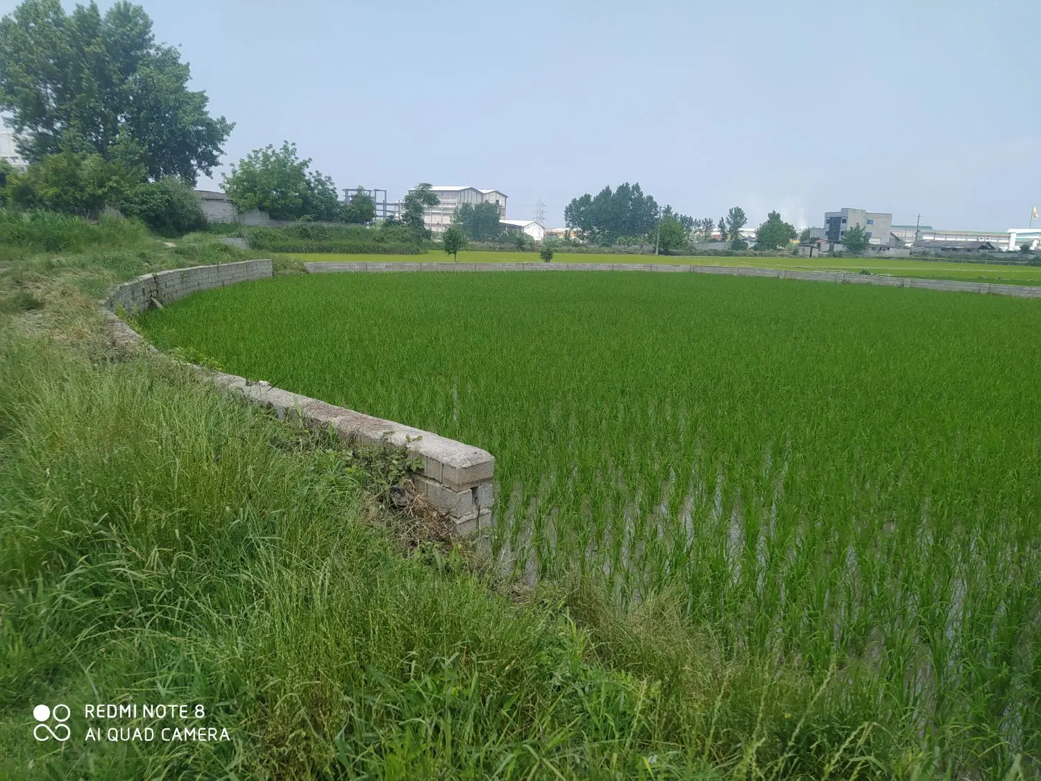 زمین کشاورزی