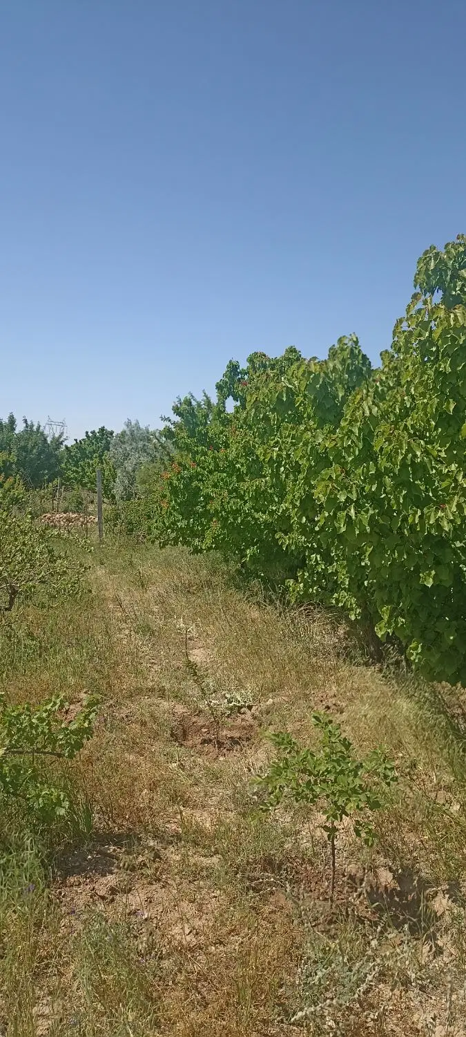 باغ۲۰۰۰متری میان کوه زیاران
