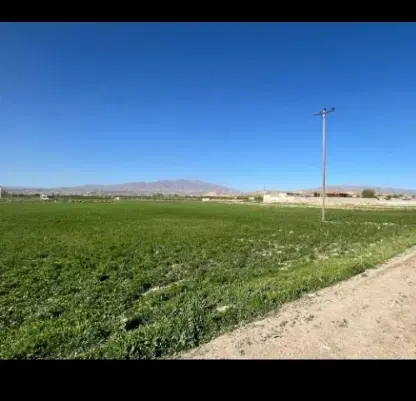 زمین کشاورزی