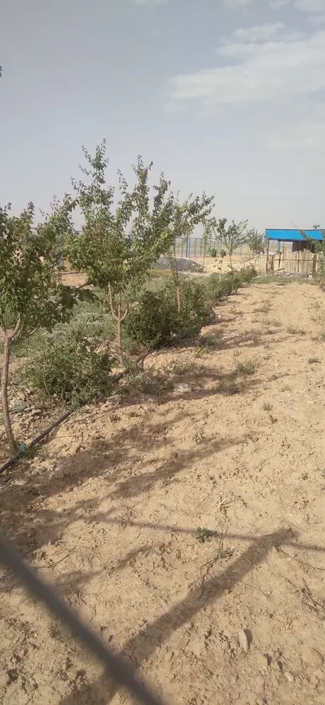باغ