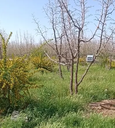 زمین فرزنداوری بیرجند جفت می خا هم