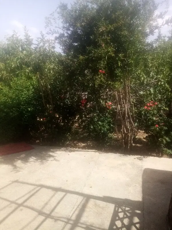 ویلایی 12 قصب ساختمان90متری سرویسی گلباف