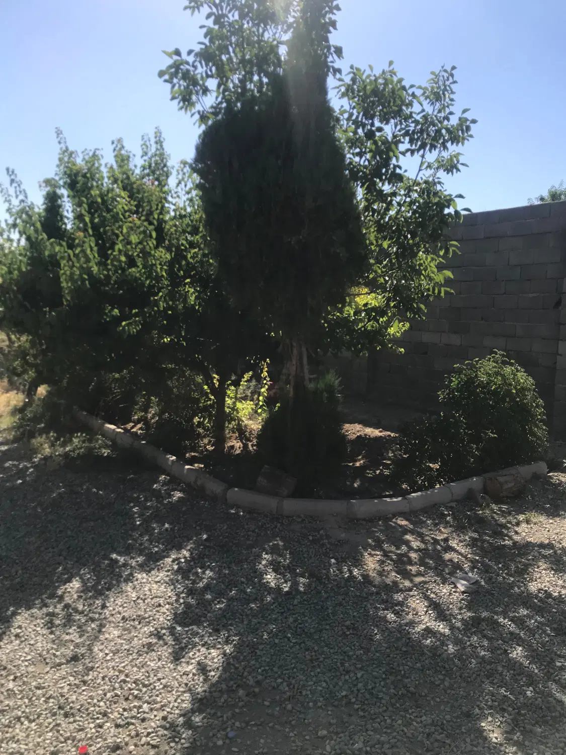 شهریار باغستان دهشاد ۲۳۰ متر باغ و باغچه
