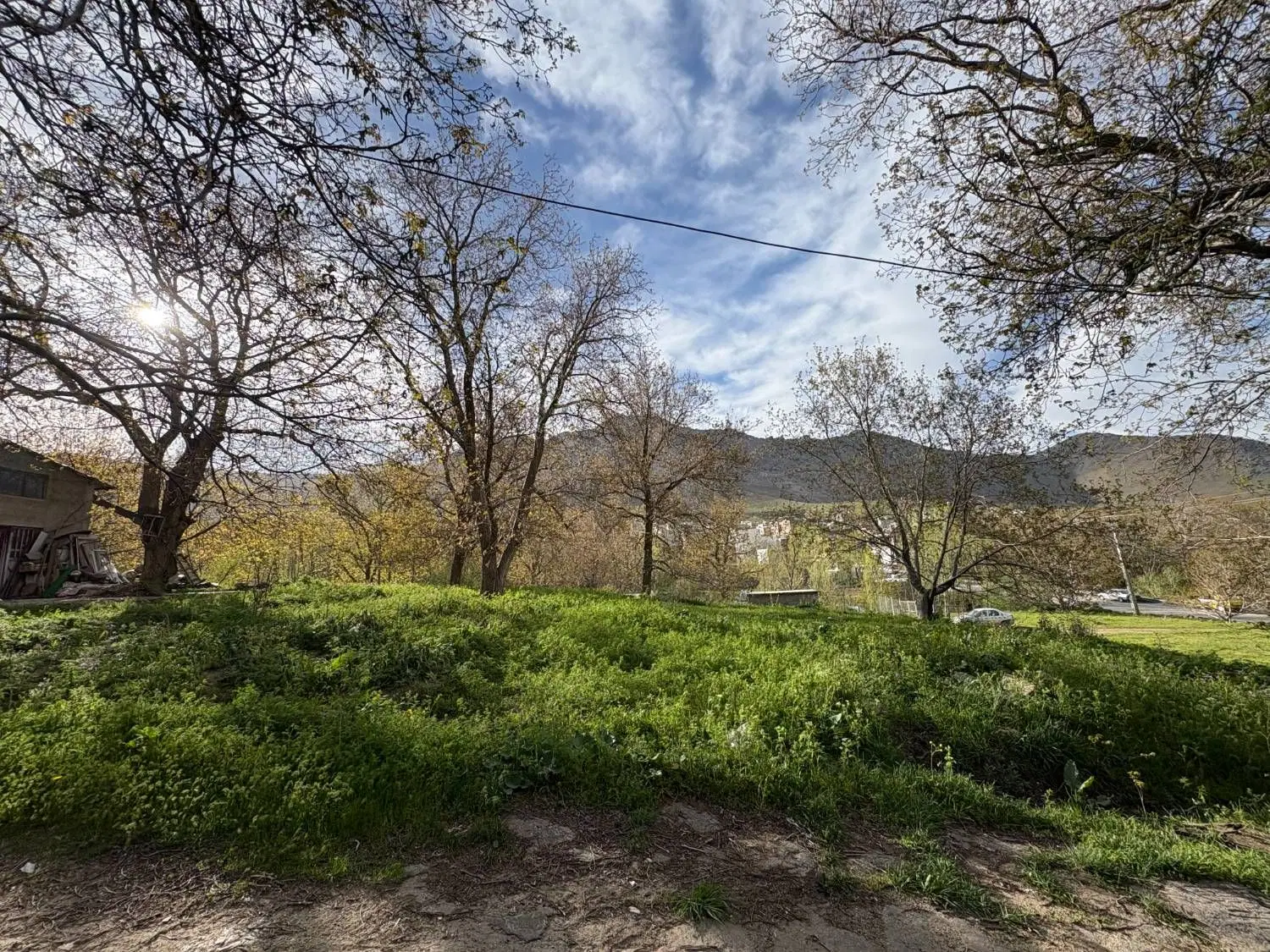 باغ فروشی امام زاده کوه