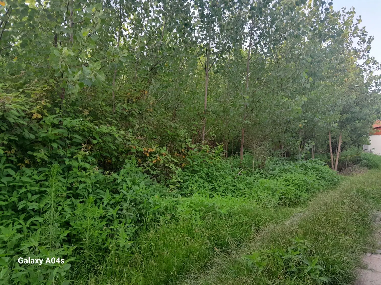 زمین ۷۶۶متری