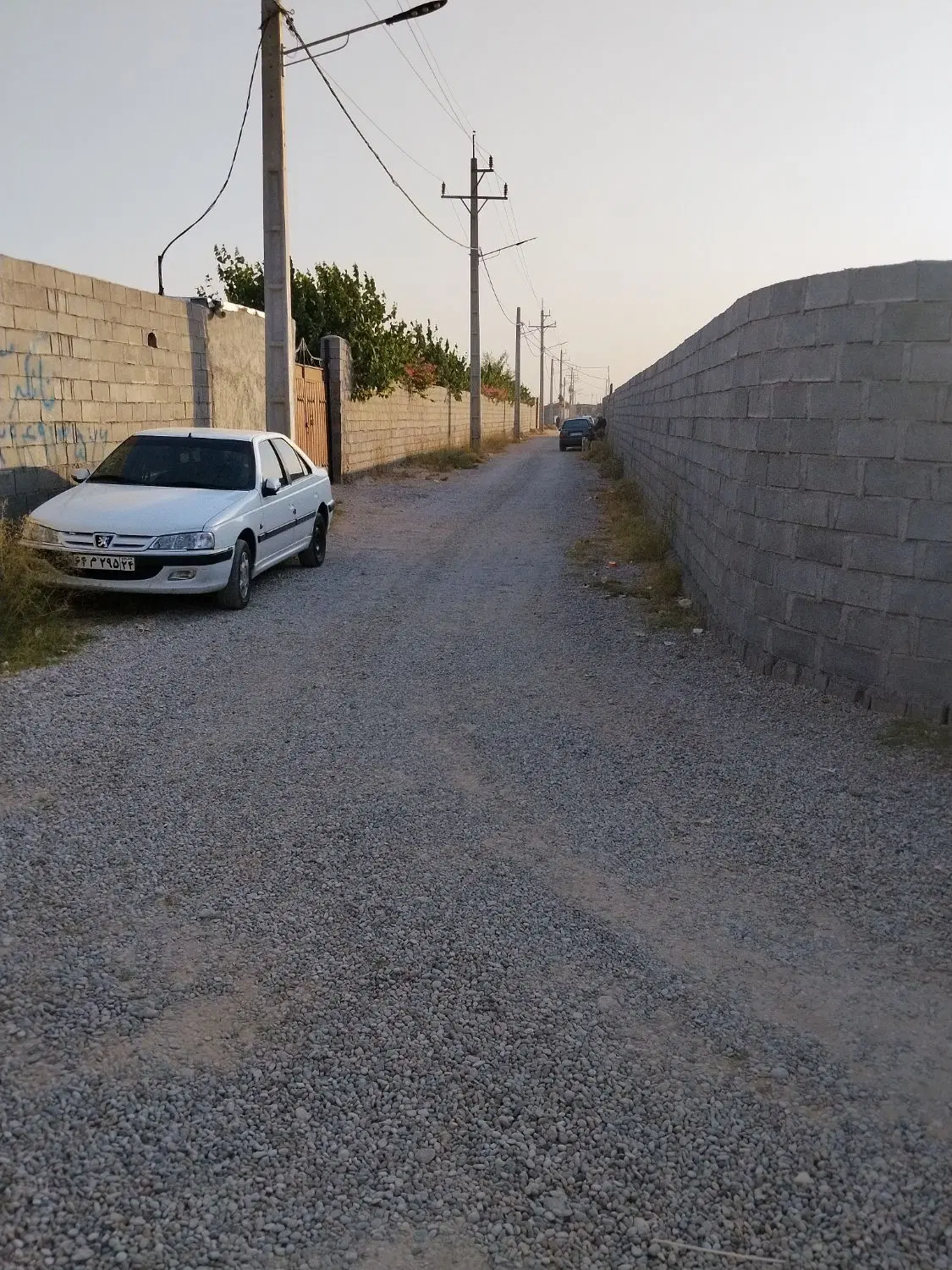 زمین باغی