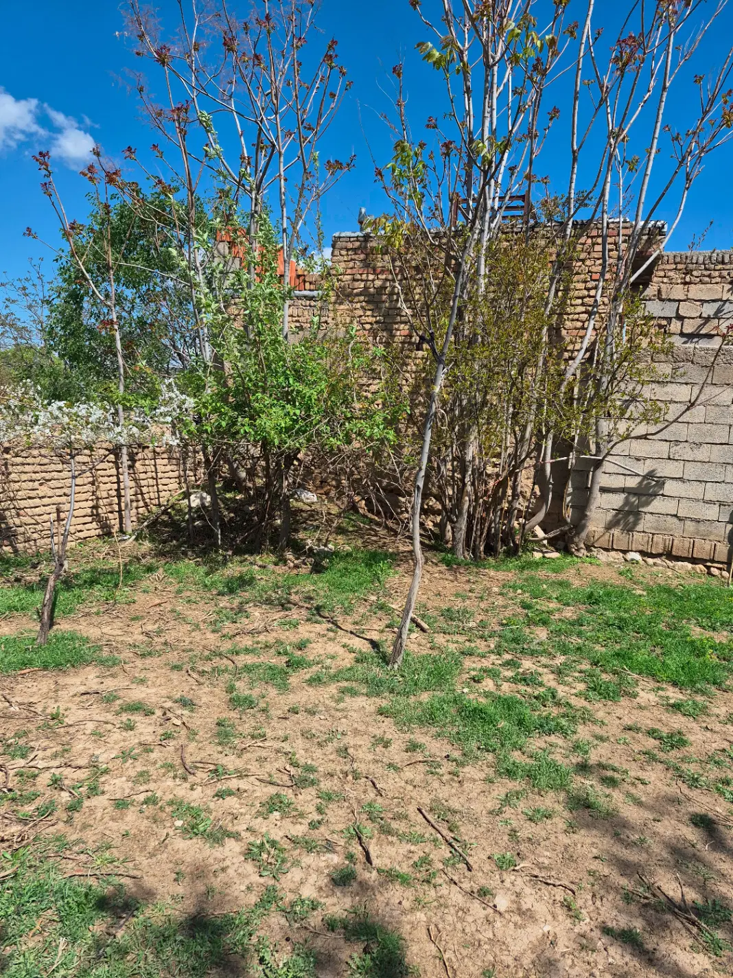 فروش اجاره خونه مسکنی  در اشخانه