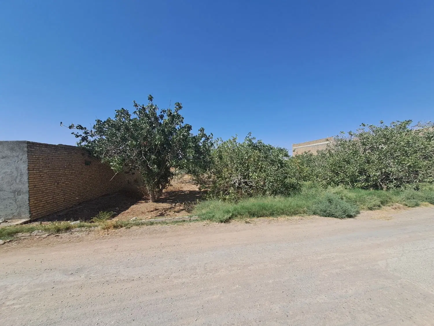 زمین فروشی مسکونی دیلم