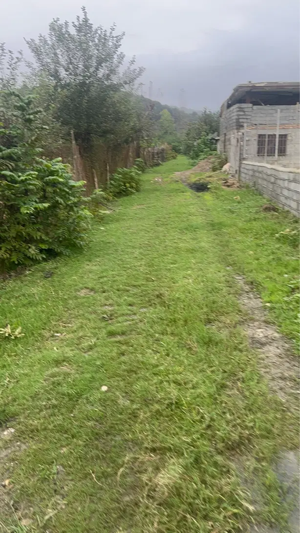 زمین فروشی بهنمیر