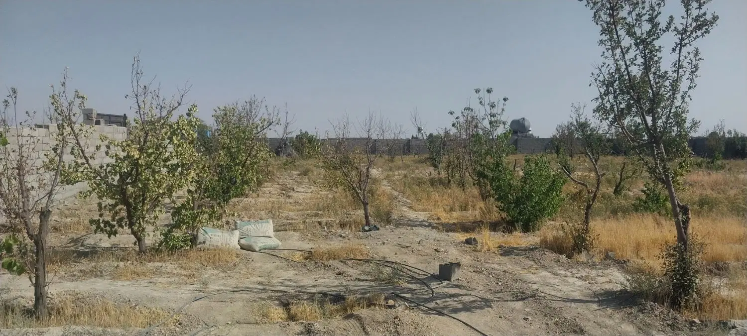 ۳۱۴مترباغچه چهار دیواری