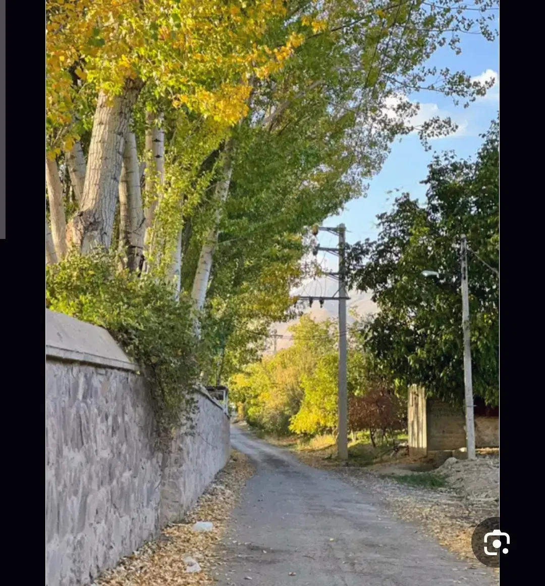 باغ چهار دیواری