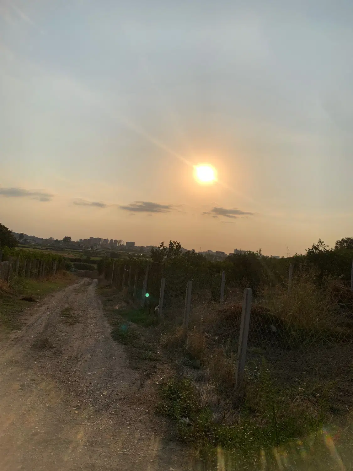 زمین کشاورزی در مازندران نکا