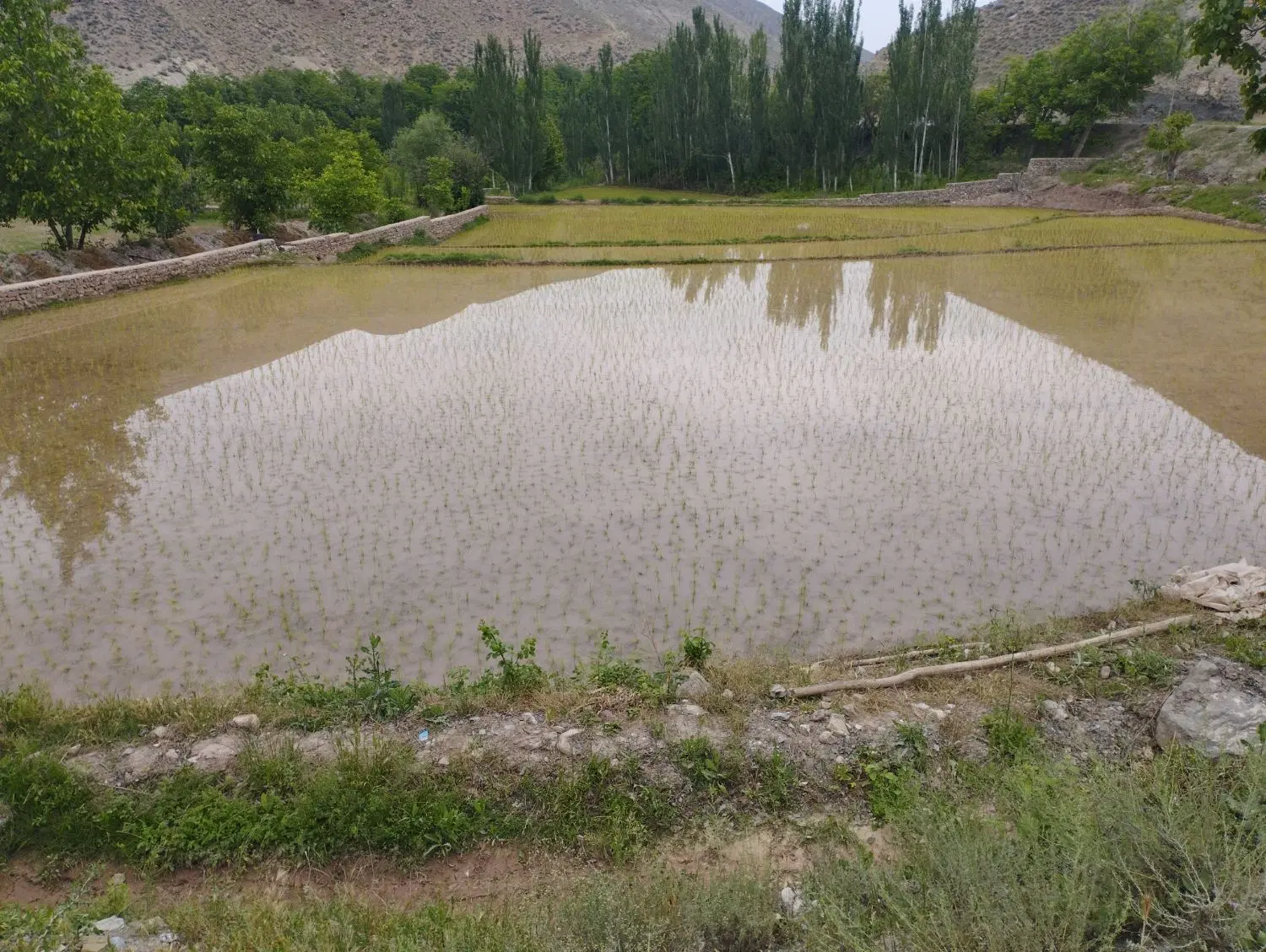 فروش زمین
