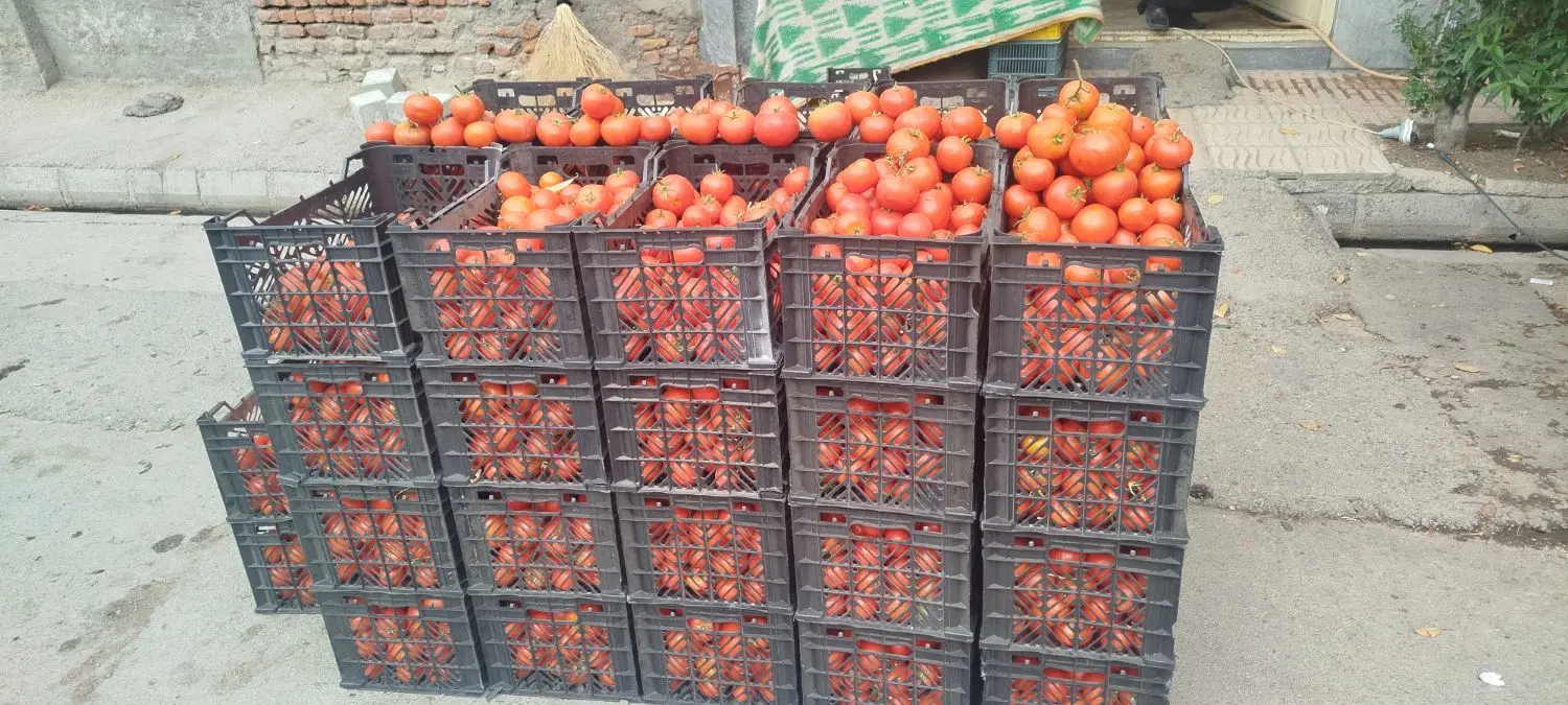 کوچه برای رب