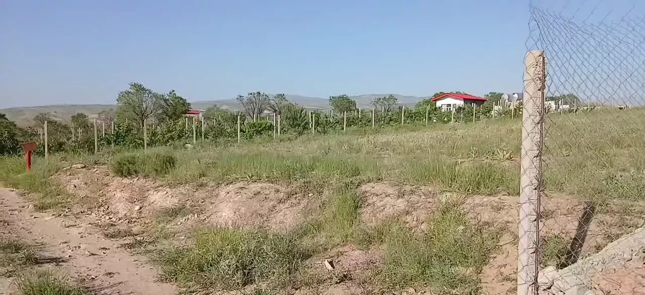 زمین جهت باغ حاشیه جاده قدیم بدرانلو