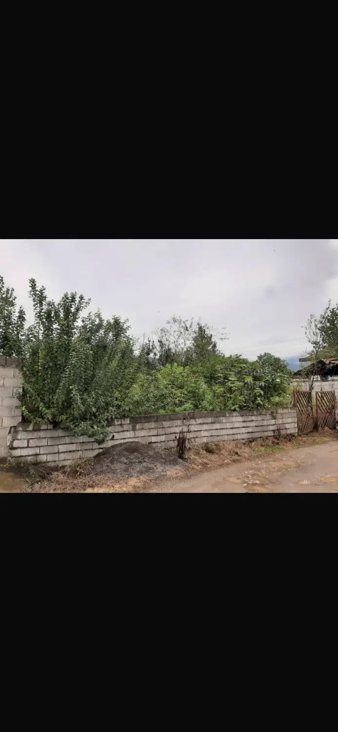 فروش زمین در مازندران عباس آباد