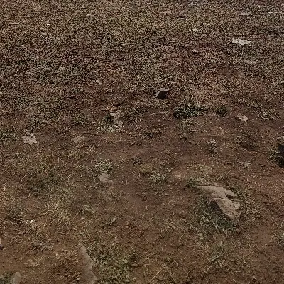زمین بمپور مسکونی