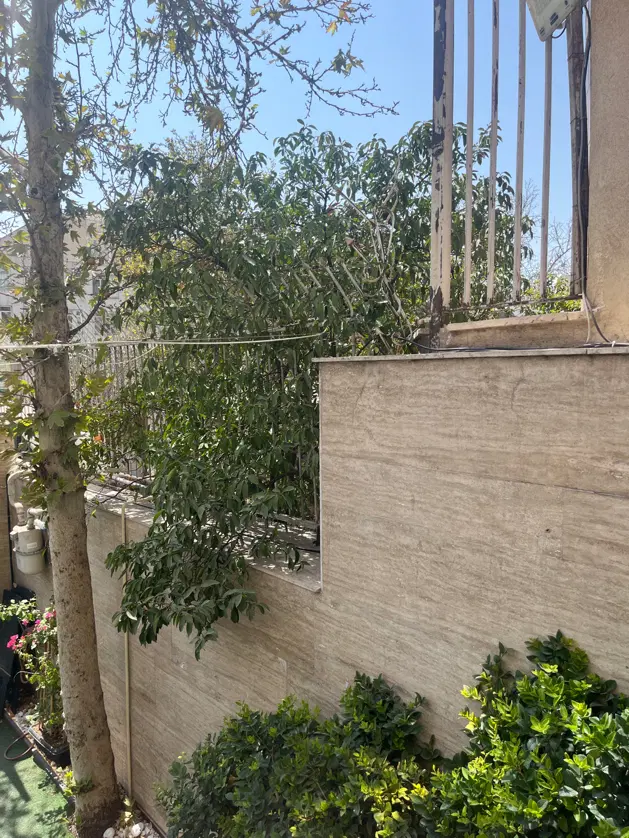 مشارکت ۵۰۰متری