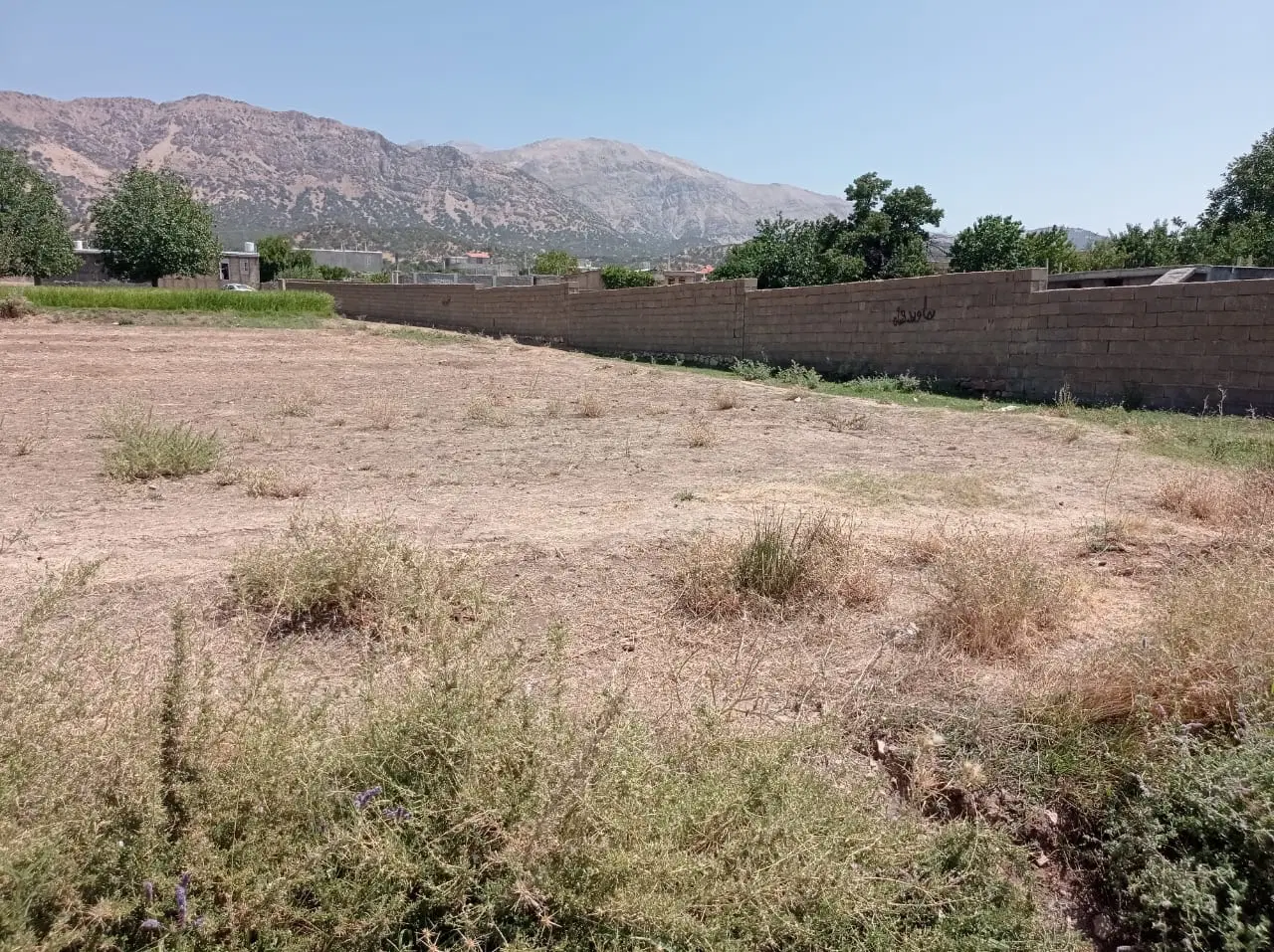 یک قطعه زمین به فروش می رسد
