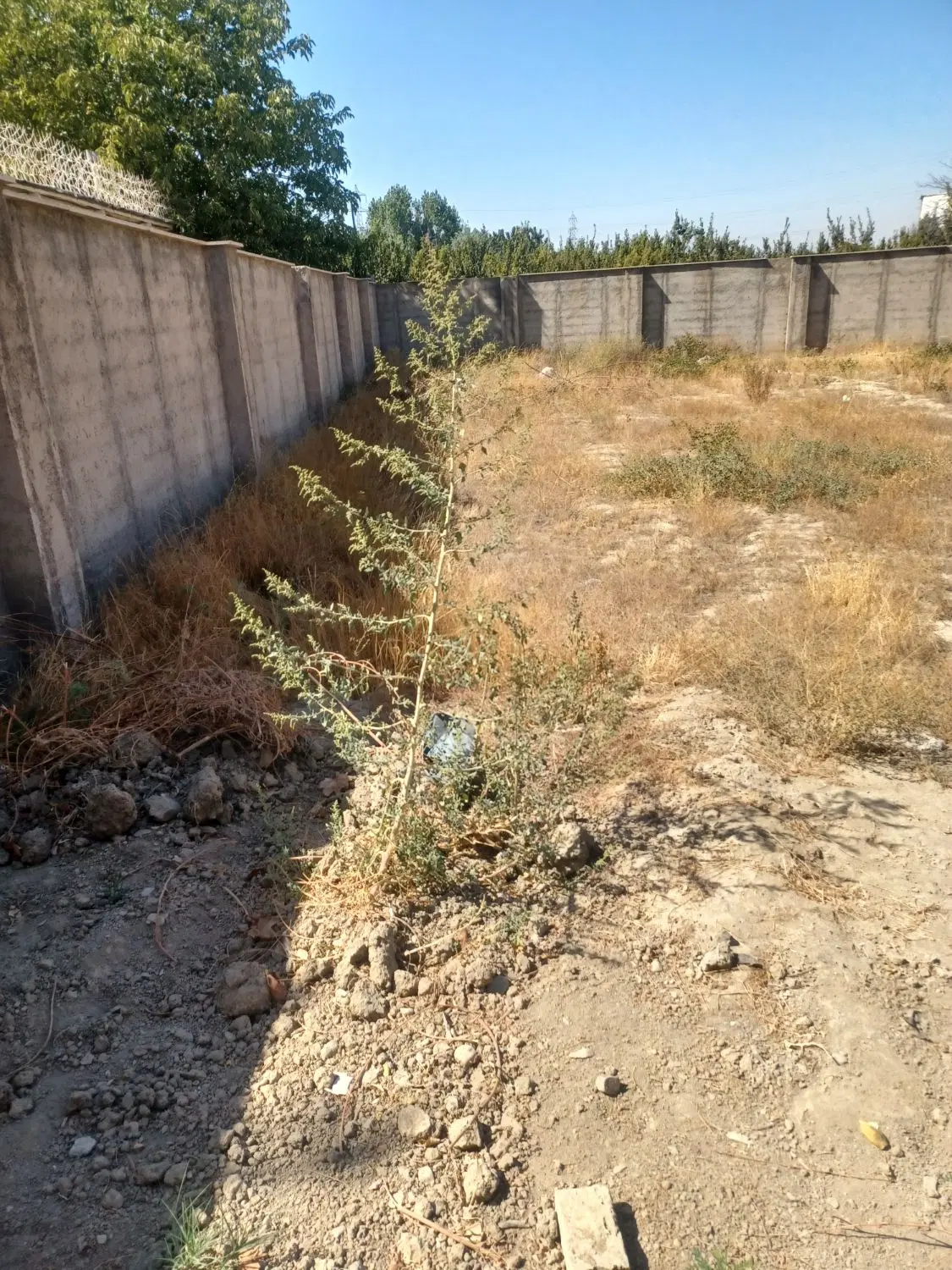 قطعه زمین متراژ۶۳۰
