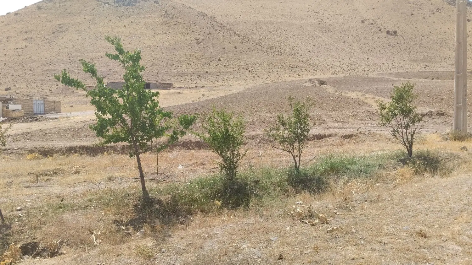 زمین نانوایان فاز3 خیابان اصلی شمالی