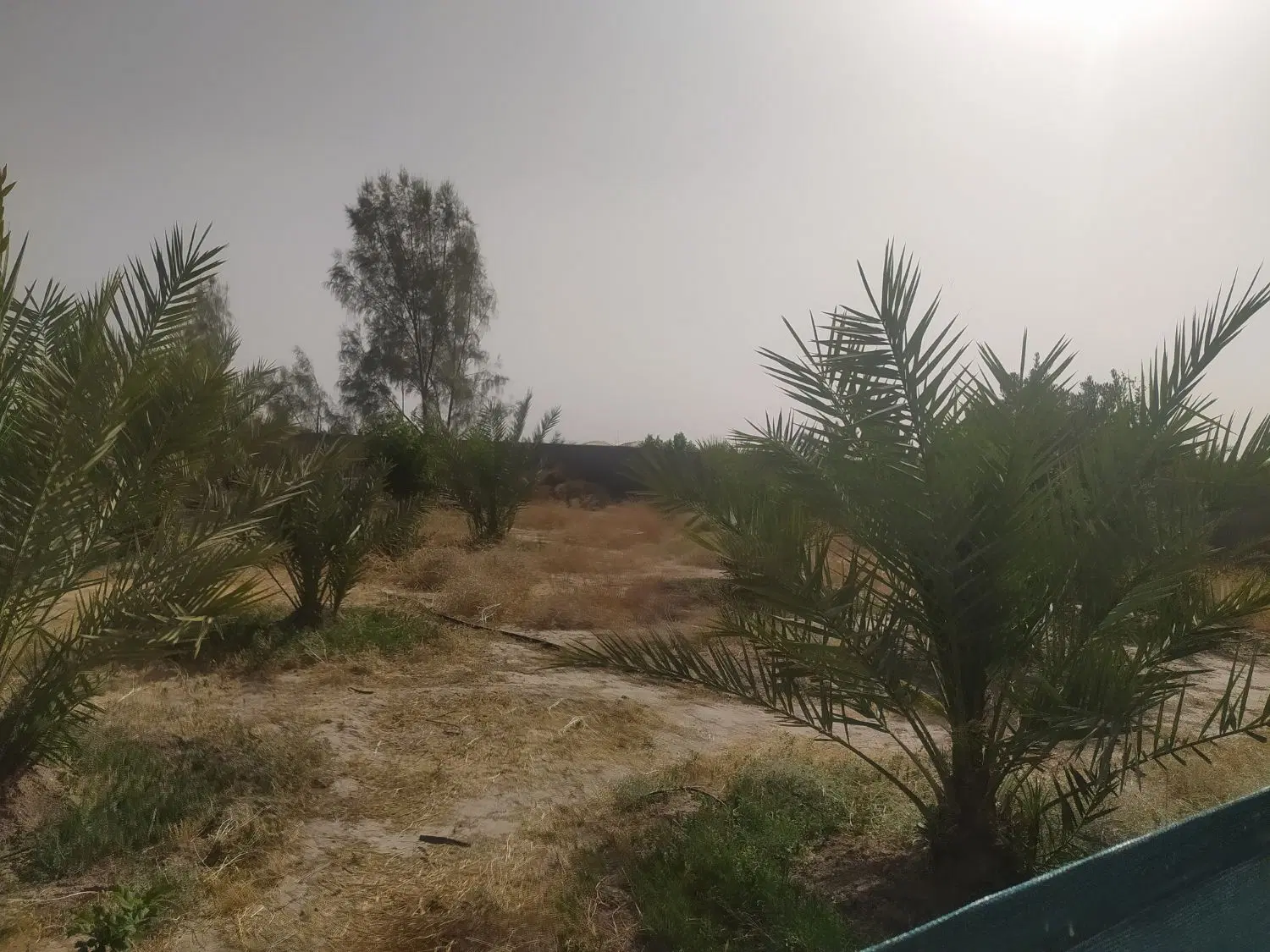منزل مسکونی بهمراه باغچه