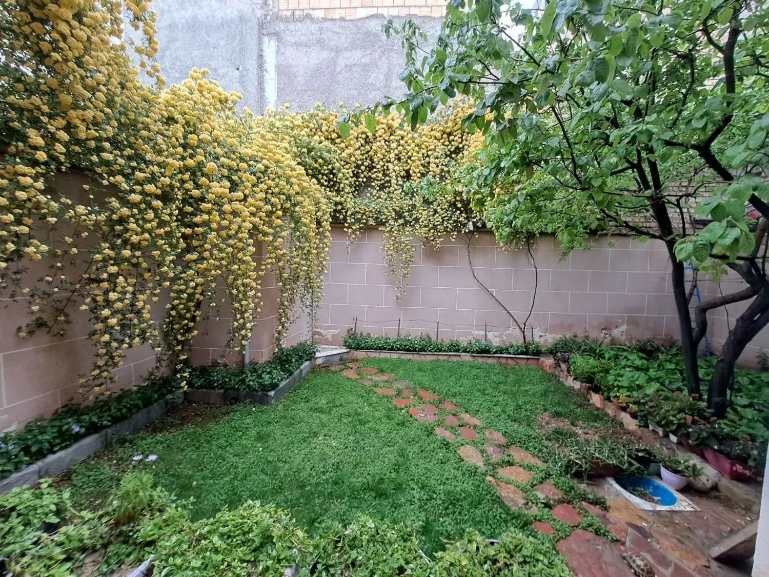 ویلایی خیابان امام رضا(ع)