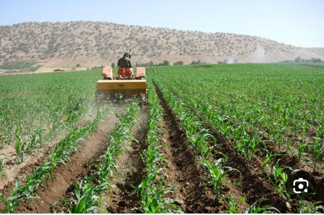 زمین کشاورزی