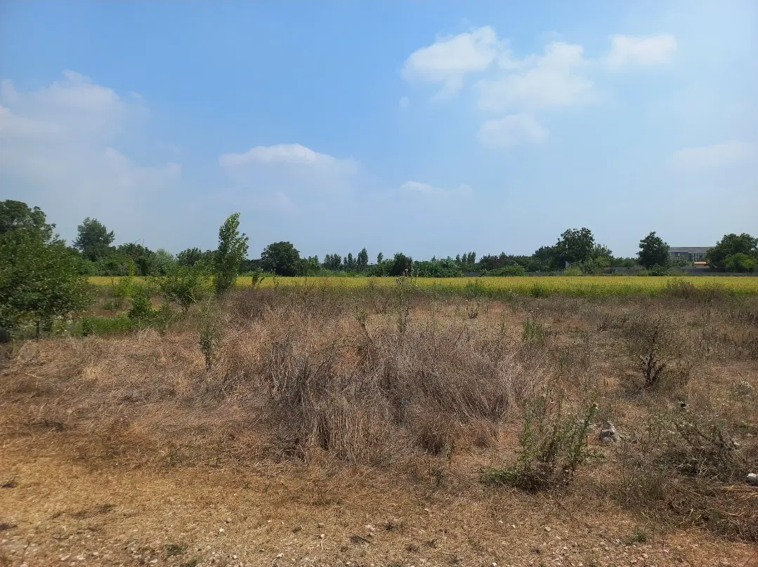 خانه سرا