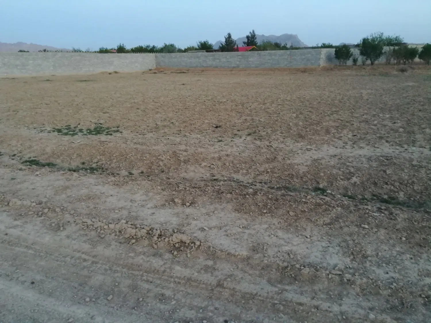 زمین کشاورزی درچه ولاشان زازران