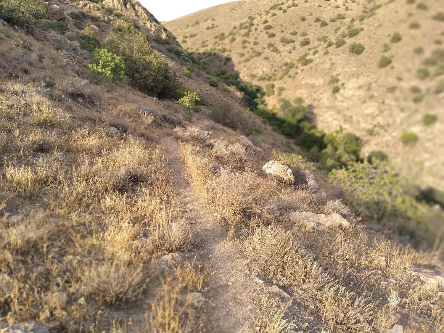 زمین ثمین ۳