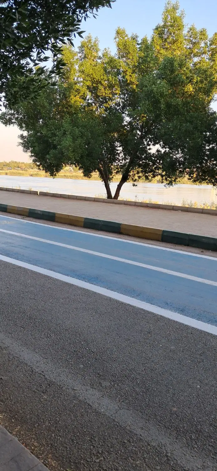 زمین