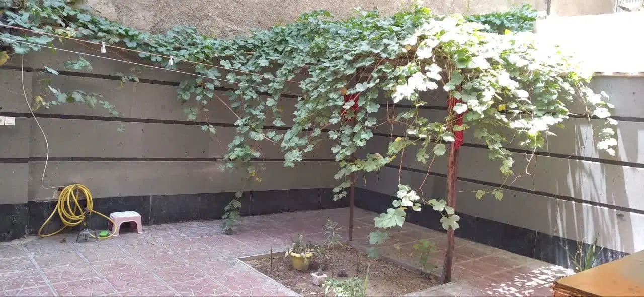 ۶۹متر دواحدی