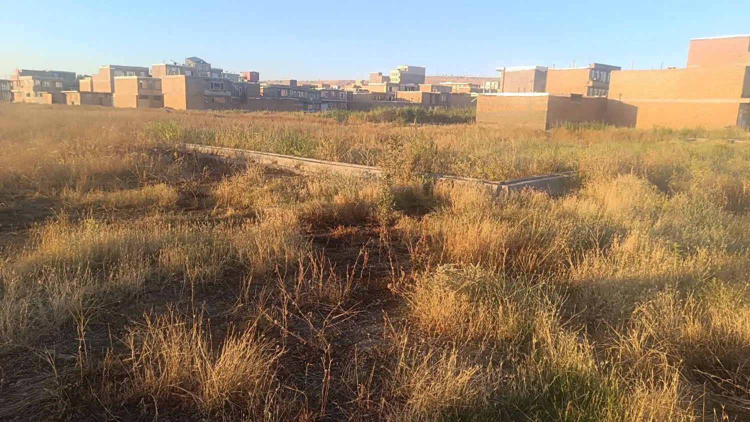 زمین در گل سرخ